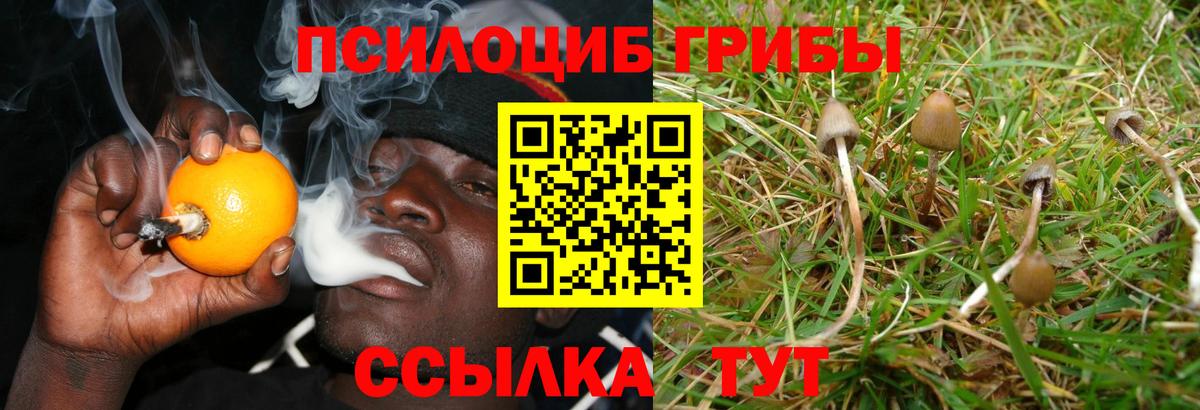 Галлюциногенные грибы Cubensis  Вход с VPN  Семёнов 