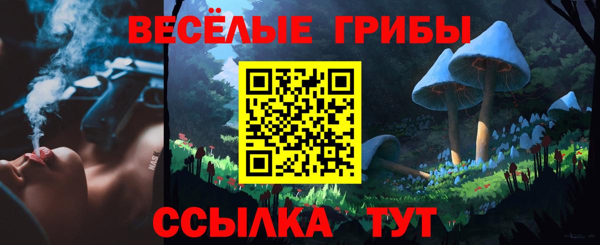 Галлюциногенные грибы Psilocybine cubensis Семёнов